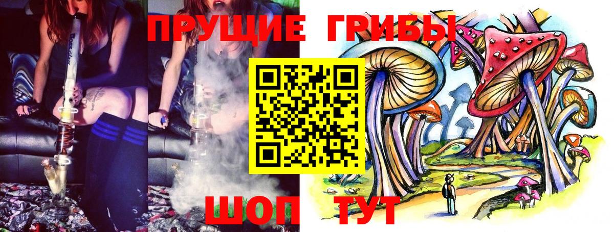 Галлюциногенные грибы Psilocybine cubensis Отрадное
